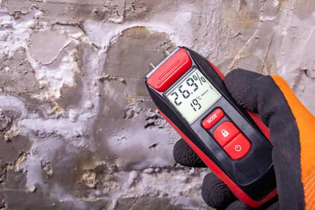 Best Localized Mold Remediation (e.g., coastal areas, humid climates) in Mineola, TX