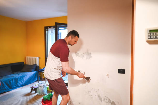 Best Post-Remediation Services in Mineola, TX